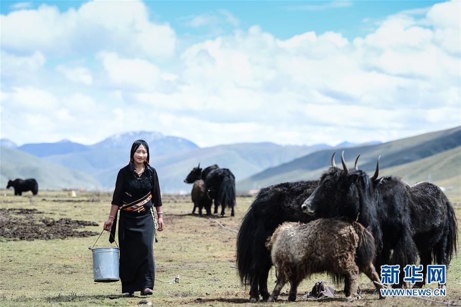 （新華全媒頭條·決戰(zhàn)決勝脫貧攻堅(jiān)·圖文互動）（3）在青山綠水間跨越千年——青海探索生態(tài)脫貧之路報(bào)告