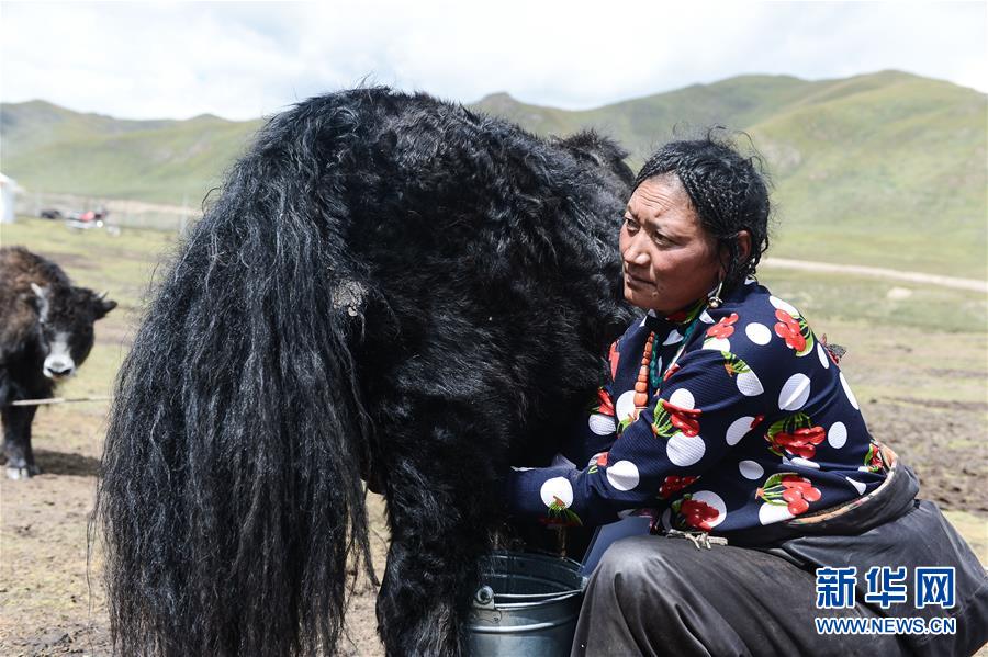 （新華全媒頭條·決戰(zhàn)決勝脫貧攻堅(jiān)·圖文互動）（4）在青山綠水間跨越千年——青海探索生態(tài)脫貧之路報(bào)告