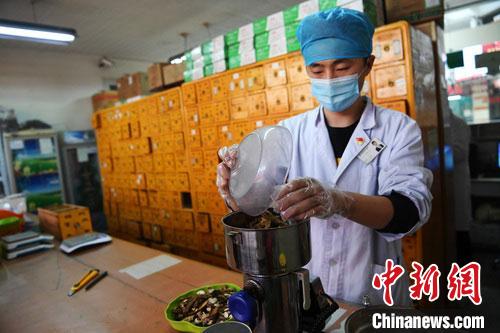 疫情發(fā)生以來，甘肅確保所有病例盡早、及時(shí)、全程使用中醫(yī)中藥，努力做到“一患一方案”。(資料圖) 楊艷敏 攝